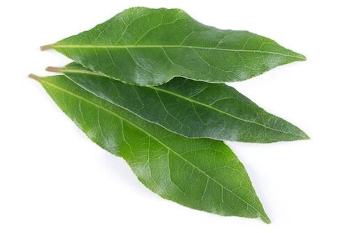 NEOflorax satur lauru lapu