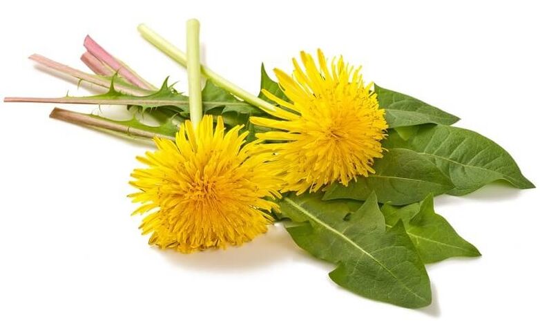 NEOflorax satur pienenes